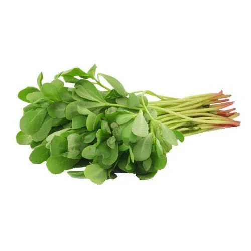 Gangavail (Purslane)