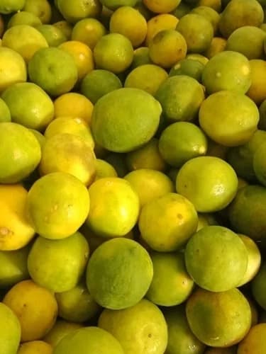 Lemon